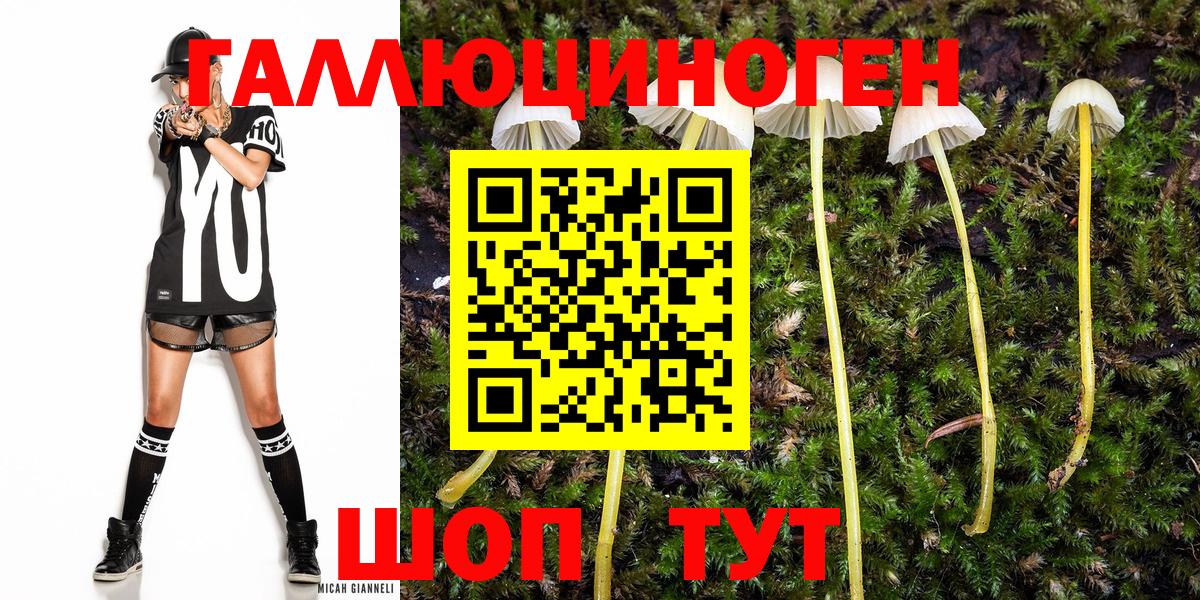 Галлюциногенные грибы мицелий Псков