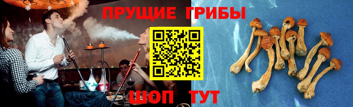 Псков  Псилоцибиновые грибы GOLDEN TEACHER  Вход с VPN 